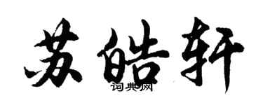 胡問遂蘇皓軒行書個性簽名怎么寫