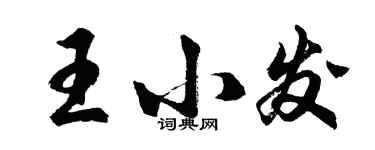 胡問遂王小發行書個性簽名怎么寫