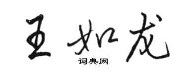 駱恆光王如龍行書個性簽名怎么寫