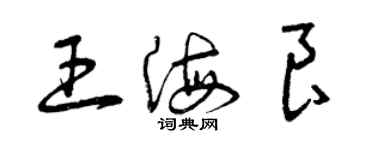 曾慶福王海良草書個性簽名怎么寫