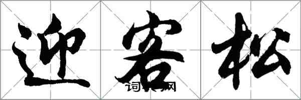 胡問遂迎客松行書怎么寫