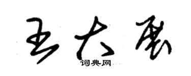 朱錫榮王大展草書個性簽名怎么寫