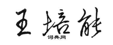 駱恆光王培能行書個性簽名怎么寫