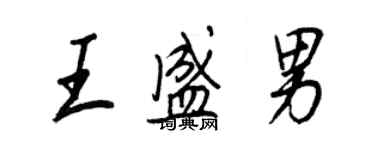 王正良王盛男行書個性簽名怎么寫
