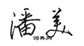 駱恆光潘美行書個性簽名怎么寫