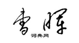 梁錦英曹暉草書個性簽名怎么寫