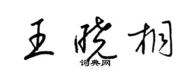 梁錦英王曉桐草書個性簽名怎么寫