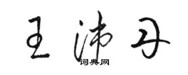 駱恆光王沛丹草書個性簽名怎么寫