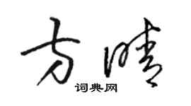 駱恆光方晴草書個性簽名怎么寫