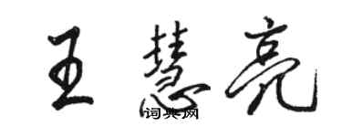 駱恆光王慧亮行書個性簽名怎么寫