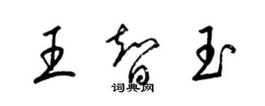梁錦英王智玉草書個性簽名怎么寫