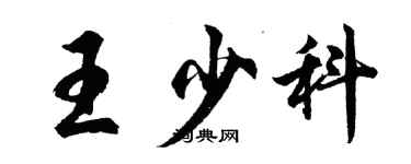 胡問遂王少科行書個性簽名怎么寫