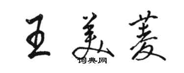 駱恆光王美菱行書個性簽名怎么寫