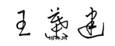 駱恆光王葉建草書個性簽名怎么寫