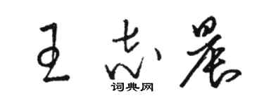 駱恆光王志晨草書個性簽名怎么寫