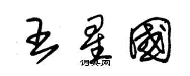 朱錫榮王星國草書個性簽名怎么寫