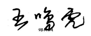 朱錫榮王鳴虎草書個性簽名怎么寫