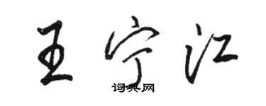 駱恆光王寧江行書個性簽名怎么寫