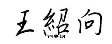 王正良王紹向行書個性簽名怎么寫