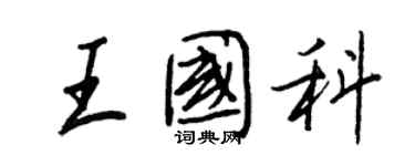 王正良王國科行書個性簽名怎么寫