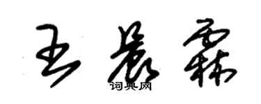 朱錫榮王晨霖草書個性簽名怎么寫