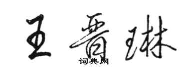 駱恆光王晉琳行書個性簽名怎么寫