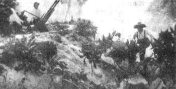 0117_13.jpg(18743bytes)