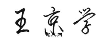 駱恆光王京學行書個性簽名怎么寫