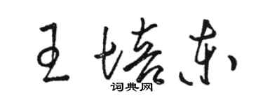 駱恆光王培東草書個性簽名怎么寫