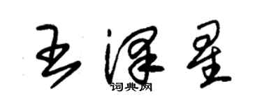朱錫榮王澤星草書個性簽名怎么寫