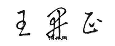 駱恆光王開正草書個性簽名怎么寫