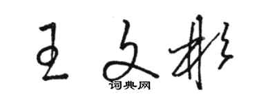 駱恆光王文彬草書個性簽名怎么寫