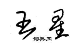 朱錫榮王星草書個性簽名怎么寫