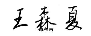 王正良王森夏行書個性簽名怎么寫