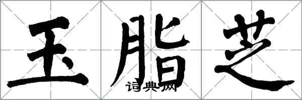 翁闓運玉脂芝楷書怎么寫