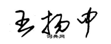 朱錫榮王揚中草書個性簽名怎么寫