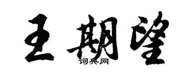 胡問遂王期望行書個性簽名怎么寫
