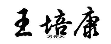 胡問遂王培康行書個性簽名怎么寫