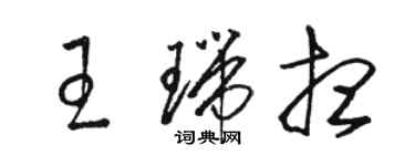 駱恆光王瑞想草書個性簽名怎么寫