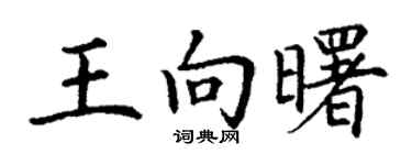 丁謙王向曙楷書個性簽名怎么寫