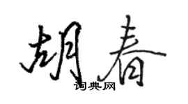 駱恆光胡春行書個性簽名怎么寫