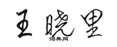 駱恆光王曉里行書個性簽名怎么寫