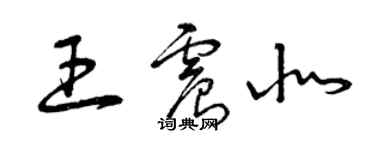 曾慶福王震北草書個性簽名怎么寫