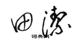 駱恆光田潔草書個性簽名怎么寫