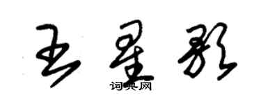 朱錫榮王星歌草書個性簽名怎么寫