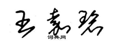 朱錫榮王嘉碧草書個性簽名怎么寫