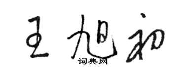 駱恆光王旭初草書個性簽名怎么寫