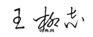 駱恆光王柳志草書個性簽名怎么寫