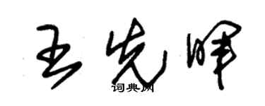 朱錫榮王先暉草書個性簽名怎么寫
