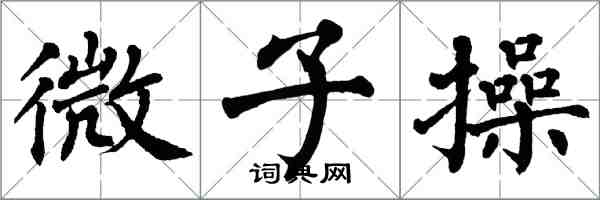 翁闓運微子操楷書怎么寫